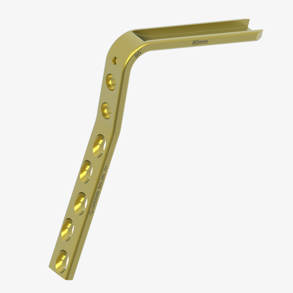 Condylar Plate 95° DCP Holes