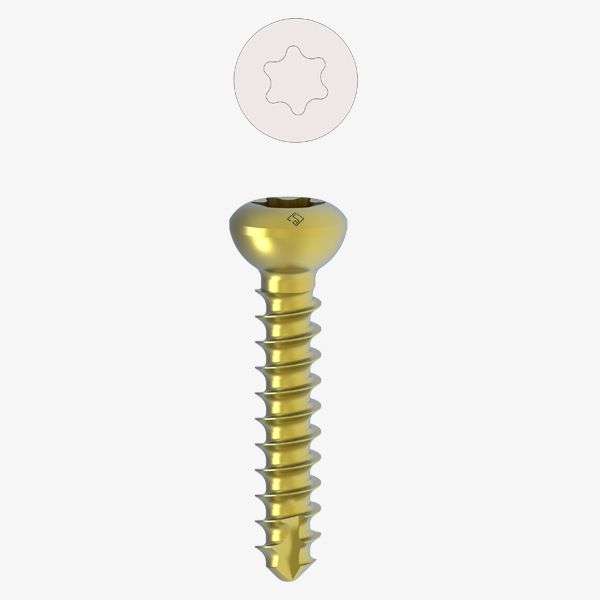 Cortical Screw (Self Tapping) 4.5MM (Star Head)