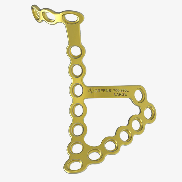 INFRAPECTINEAL PLATE