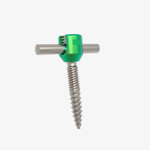 Greens Polyaxial Screw For 5.5MM Rod System