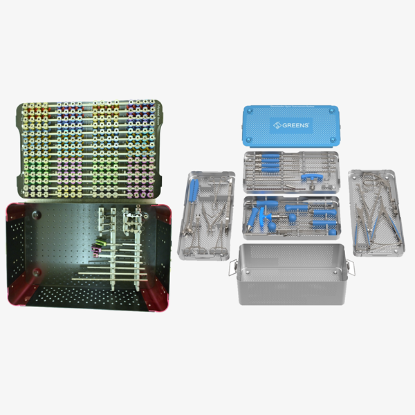 Dorsolumber Spine Implants System